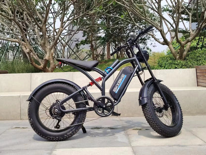 EKX T1 Electric Bike 20‘’*4.0 Fat Tires